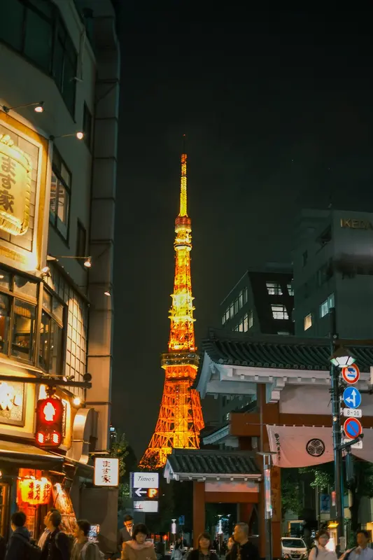 Harry.Tokyo Premium Domain